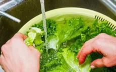 Rửa rau hàng ngày nhưng bạn đã làm đúng cách?