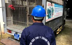 TP.HCM: Siết chặt tình trạng thả rông chó trên địa bàn quận 1