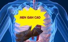 Men gan cao và những điều bạn chưa biết
