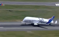 Chiêm ngưỡng máy bay cá voi trắng khổng lồ của Airbus