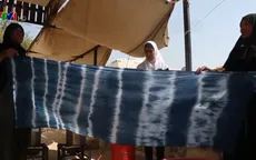 Cây tràm - Nguyên liệu chính của nghề nhuộm vải truyền thống ở Jordan