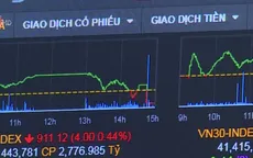 Công ty chứng khoán không phát hành, môi giới giao dịch tiền ảo