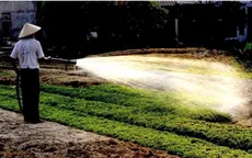 Nắng xuyên suốt trong ngày ở khu vực từ Nghệ An - Bình Thuận