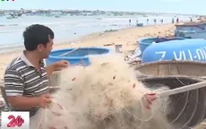 Ngư dân Bình Thuận khốn đốn bởi giã cào bay