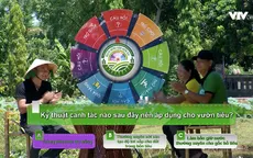 Đón xem "Người nông dân hiện đại - Ngọt thơm xứ Truồi" (17h00, VTV2)
