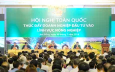 Cần nhiều giải pháp để thúc đẩy doanh nghiệp đầu tư vào nông nghiệp