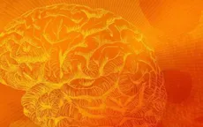 Tìm ra cách ngăn chặn lão hóa mạch não, cải thiện trí nhớ