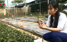 Chuyện nhà nông với nông nghiệp: Hiệu quả từ mô hình chuyển đổi
