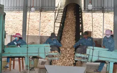 Làm giàu từ trồng rừng: Thành công từ bài học "Cho đi là nhận lại"