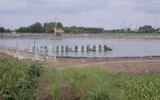 Hiệu quả tập huấn canh tác lúa - tôm thích ứng với biến đổi khí hậu