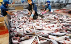 Trung Quốc giảm thuế nhập khẩu hàng thủy sản Việt Nam