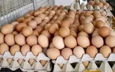 Ứng dụng công nghệ cao sản xuất trứng sạch để xuất khẩu