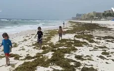 Nhiều bãi biển ở Mexico bị "nhuộm xanh" vì tảo biển