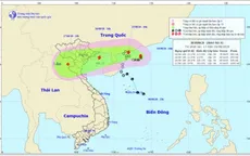Bão số 4 đổi hướng, đi vào Quảng Ninh và Nam Định