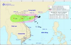 Ngày 16/8, bão số 4 sẽ ảnh hưởng từ Hải Phòng đến Nghệ An