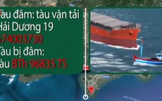 Truy tìm tàu vận tải Hải Dương 19 đâm chìm tàu cá rồi bỏ chạy