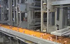 Thị trường rộng mở với trứng công nghệ cao