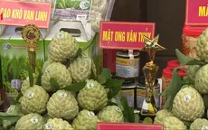 Kết nối tiêu thụ nông sản các tỉnh biên giới Việt - Trung