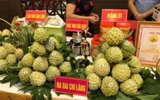 Hướng tới xuất khẩu na chính ngạch sang Trung Quốc