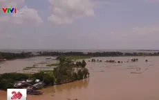 Lũ về sớm, người dân An Giang không kịp trở tay