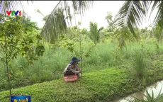 TP.HCM công khai quá trình chuyển đổi đất nông nghiệp