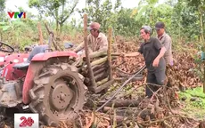 Bất thường trong hỗ trợ mất mùa cho bà con ở Đồng Nai