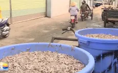 Nhà Trang: Khó di dời cơ sở sản xuất nước mắm ra khỏi thành phố