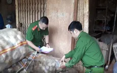 Phát hiện cơ sở “hô biến” khoai tây Trung Quốc thành khoai tây Đà Lạt