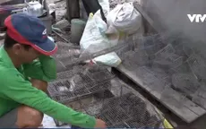 ĐBSCL: Chuột đồng bán được giá cao