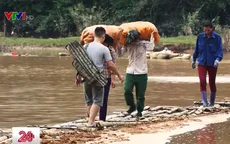 Người dân Lạng Sơn liều mình vượt sông bằng cầu tre
