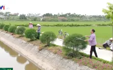 Phụ nữ Hải Hậu, Nam Định làm sạch đường quê