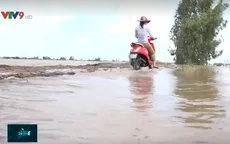 Lũ lớn chia cắt nhiều nhà dân vùng đầu nguồn Đồng Tháp