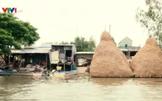 Mực nước sông Cửu Long đang lên, nguy cơ xảy ra ngập lụt ở các vùng trũng thấp