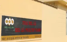 Lần đầu tiên Việt Nam xuất khẩu trứng ấp sang Myanmar