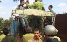Khánh Hòa: Lâm tặc tấn công kiểm lâm