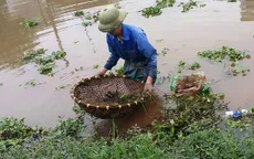 Người dân vùng đầu nguồn có thu nhập khá từ nghề đặt cua đồng
