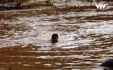 Trẻ em liều mình vớt củi giữa dòng nước lũ ở Điện Biên
