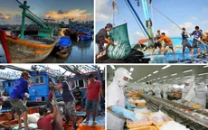 Công việc còn nhiều, thời gian lại ít, gỡ thẻ vàng thủy sản ra sao?