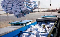 Tổ chức gặp gỡ doanh nghiệp Việt - Trung, thúc đẩy xuất khẩu gạo sang Trung Quốc