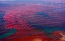 Thủy triều đỏ đe dọa biển Florida, Mỹ