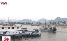 Trao nhãn sinh thái “Cánh buồm xanh” cho tàu du lịch trên vịnh Hạ Long