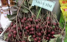 Nguy cơ mất thương hiệu cây đặc sản Nam Bộ