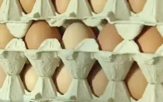 Mỹ: Thu hồi trứng gà công nghiệp nghi nhiễm khuẩn salmonella