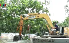 Lũ về, nguy cơ úng ngập hàng nghìn ha quýt ở Đồng Tháp