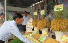 Việt Nam đẩy mạnh xuất khẩu sản phẩm gạo cấp cao