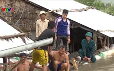 Gia cố đê bao, kịp thời cứu hàng trăm ha lúa tại Đồng Tháp