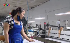 Thị trường lao động ổn định trong quý II/2018