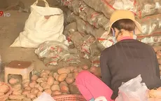 Vẫn còn khoai tây Trung Quốc tại chợ nông sản Đà Lạt