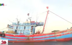 Gia tăng tình trạng sử dụng xung điện đánh bắt thủy hải sản