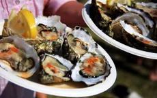 Khám phá "vương quốc hàu" Long Sơn